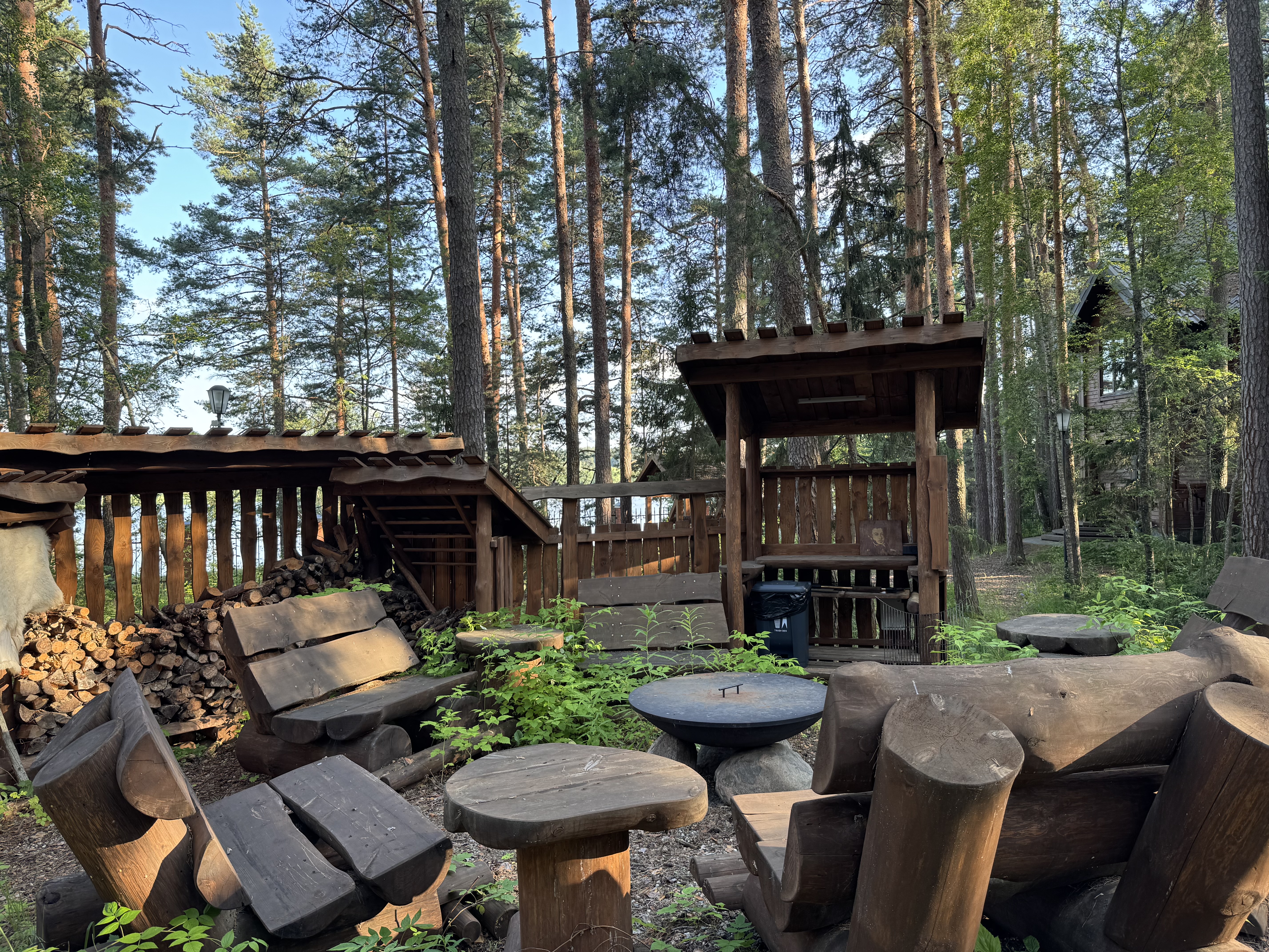 Костровая зона в лесу